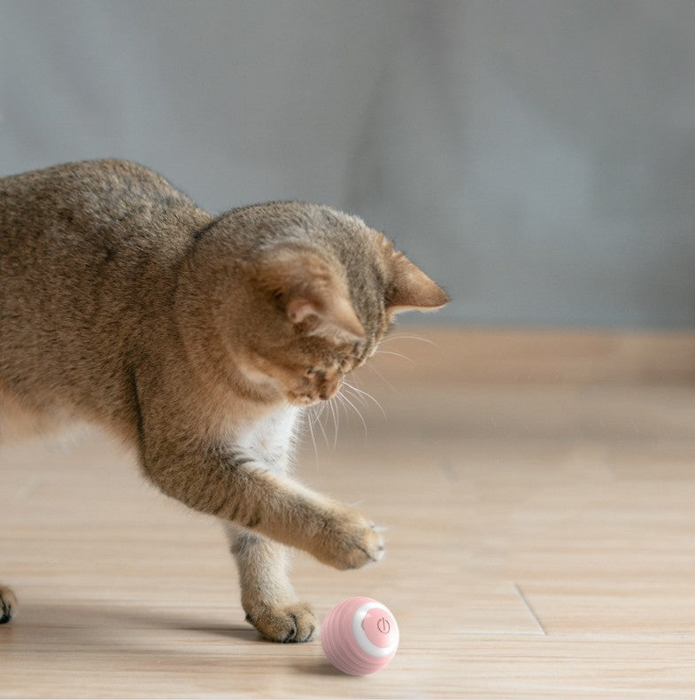 Automatic Bouncing Smart Cat Toy